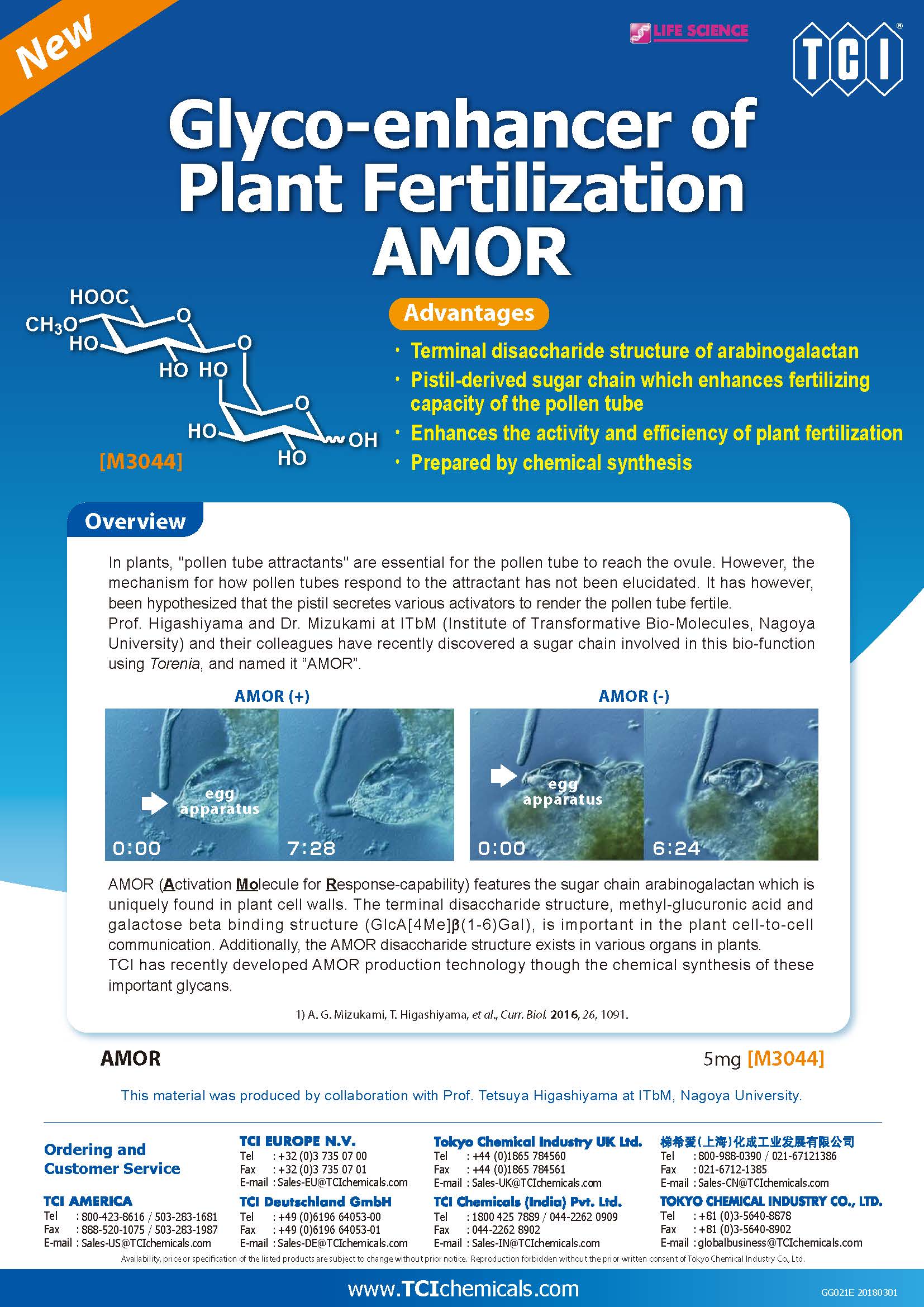 http://www.itbm.nagoya-u.ac.jp/en/news/Glyco-enhancer%20of%20Plant%20Fertilization%20AMOR%280301%29.jpg