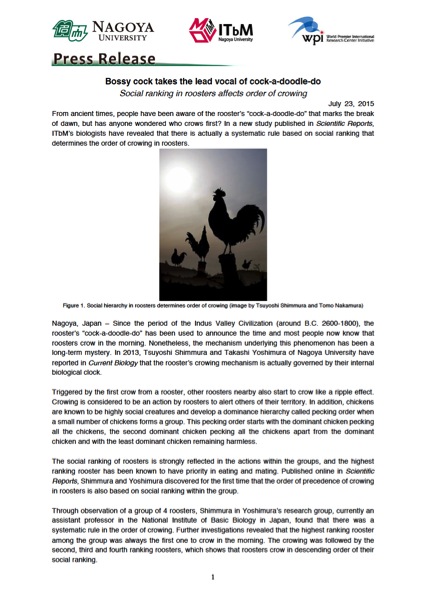 http://www.itbm.nagoya-u.ac.jp/en/research/20150723_Rooster_EN_PressRelease_ITbM.jpg