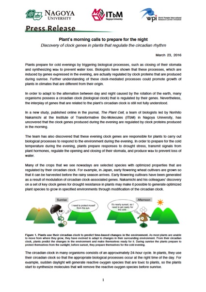http://www.itbm.nagoya-u.ac.jp/en/research/20160323_PlantClock_EN_PressRelease_ITbM.jpg