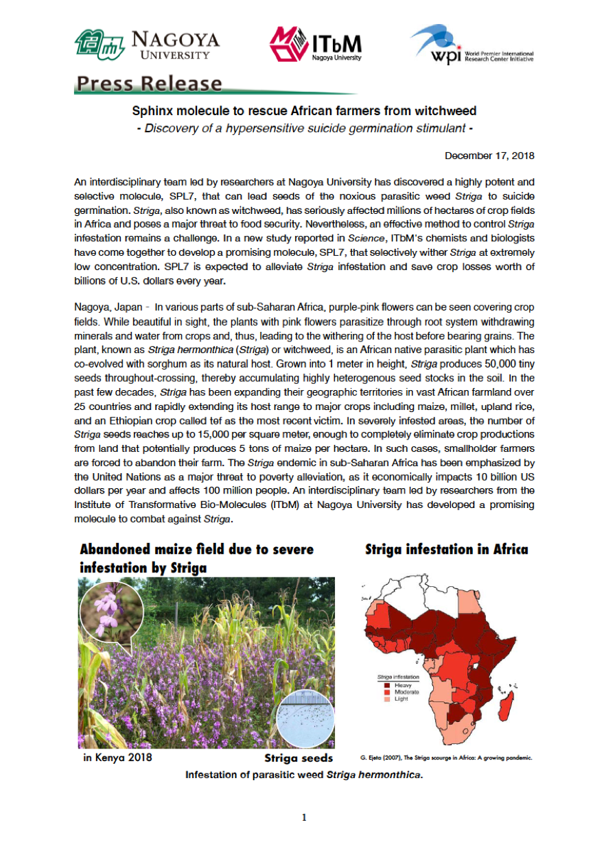 http://www.itbm.nagoya-u.ac.jp/en/research/20181217_Science_Striga_EN_PressRelease_ITbM.png