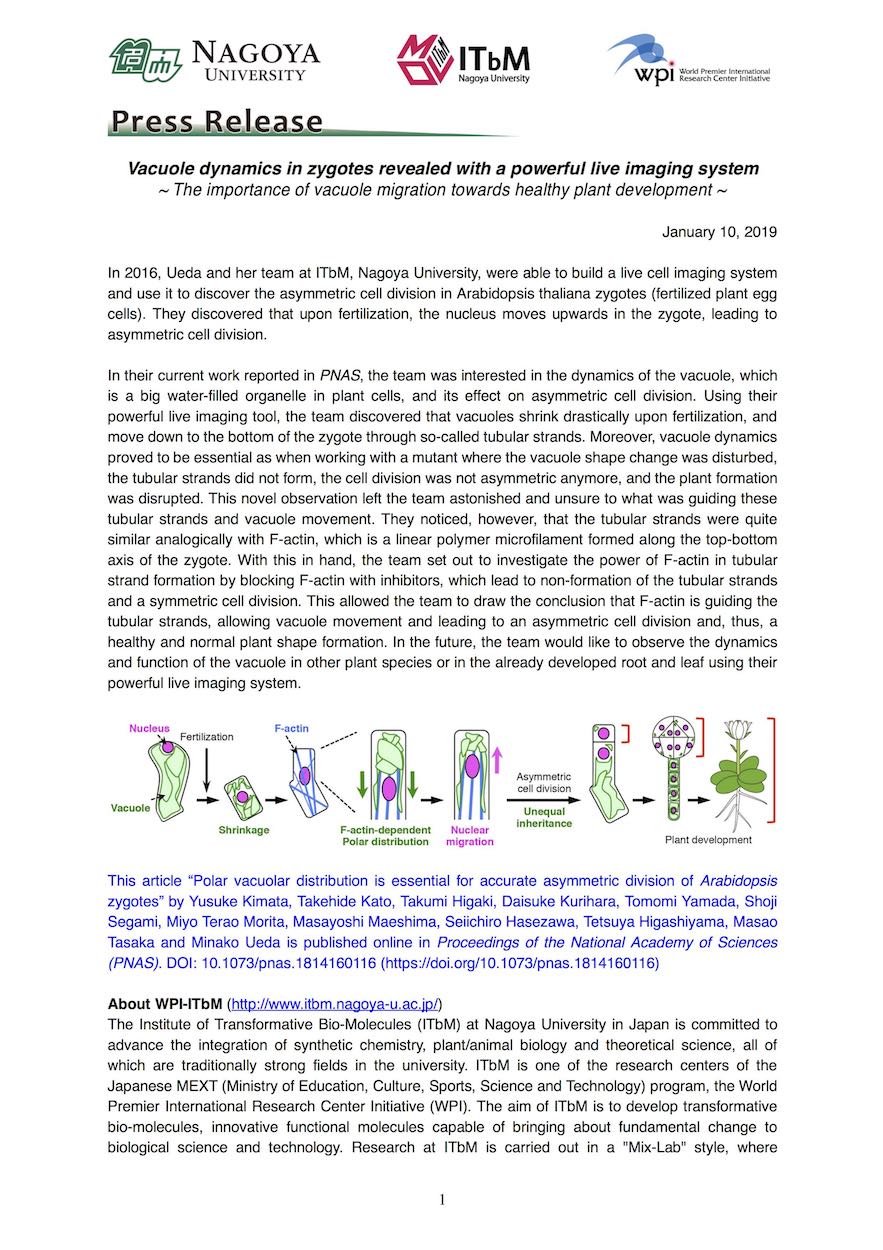 http://www.itbm.nagoya-u.ac.jp/en/research/20191915_PNAS_Ueda_EN_PressPrelease_ITbM.jpg