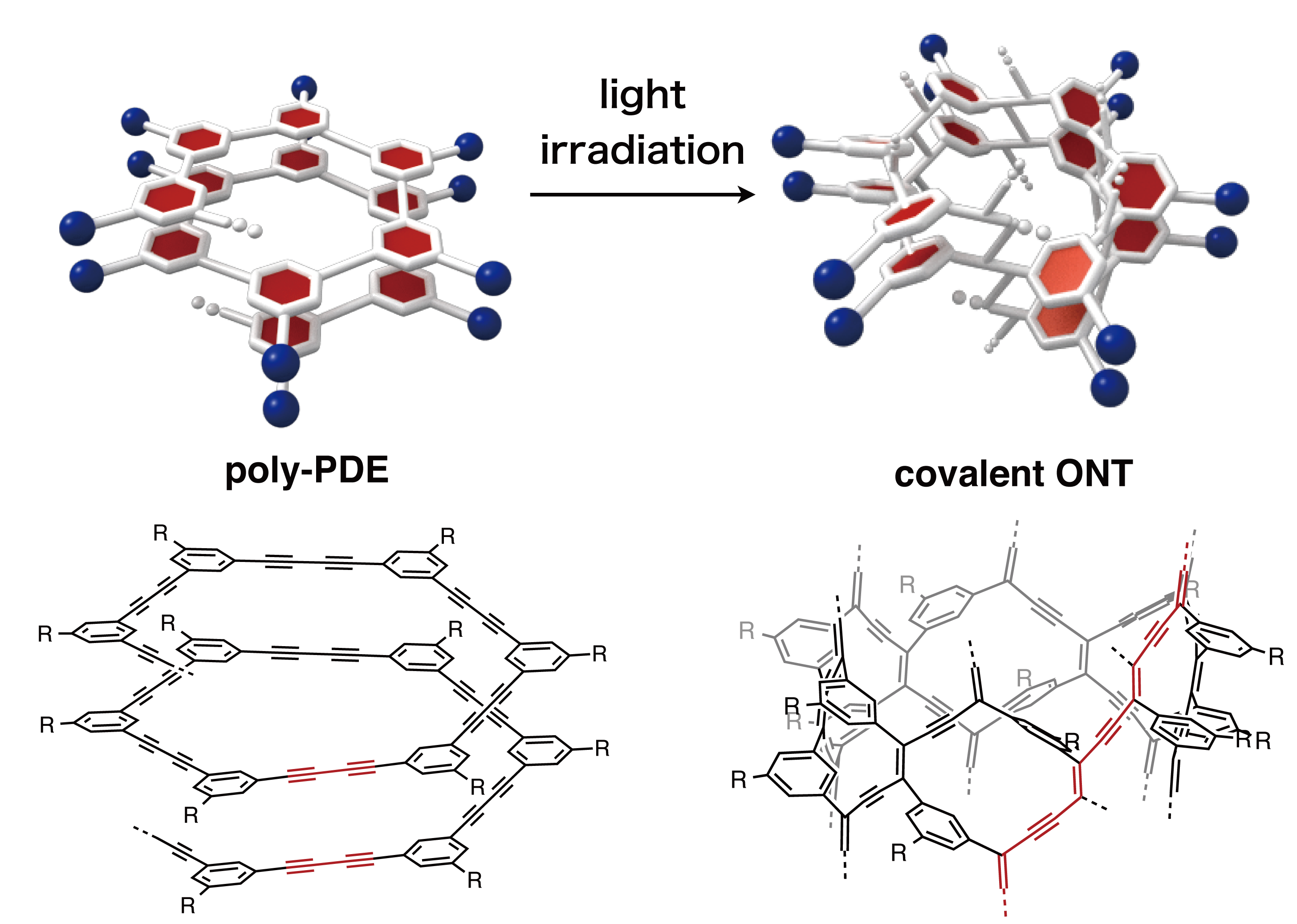 Figure5_ONT.png