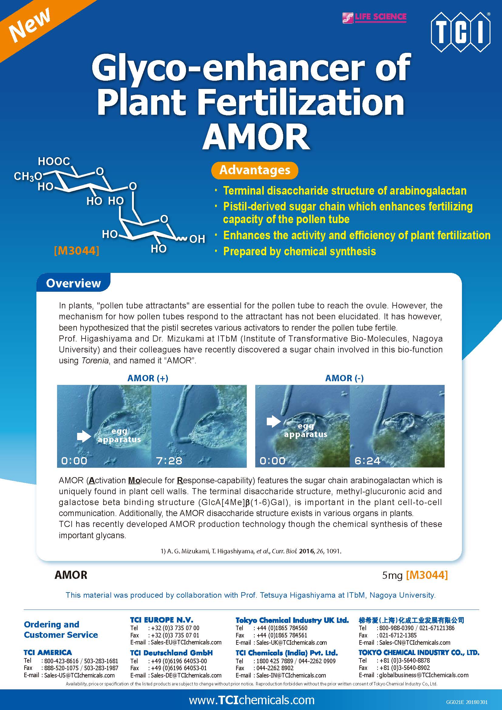 http://www.itbm.nagoya-u.ac.jp/en_backup/news/Glyco-enhancer%20of%20Plant%20Fertilization%20AMOR%280301%29.jpg