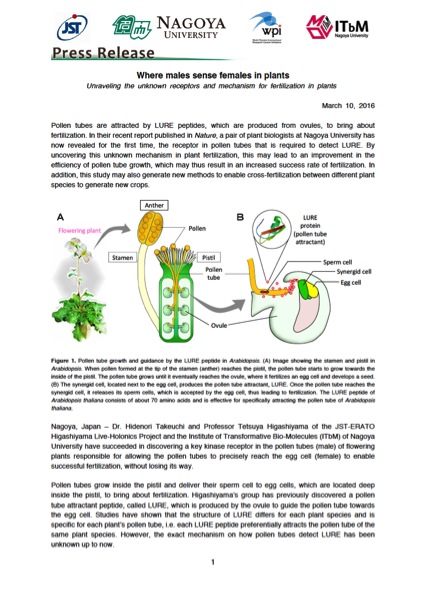 http://www.itbm.nagoya-u.ac.jp/en_backup/research/20160310_Nature_Higashiyama_EN_PressRelease_ITbM.jpg