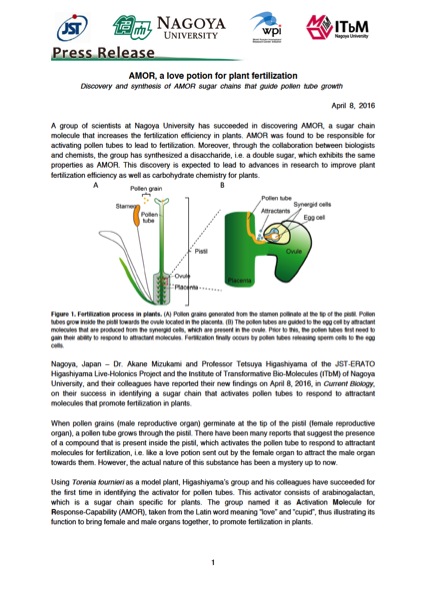 http://www.itbm.nagoya-u.ac.jp/en_backup/research/20160408_CurrBio_AMOR_EN_PressRelease_ITbM.jpg