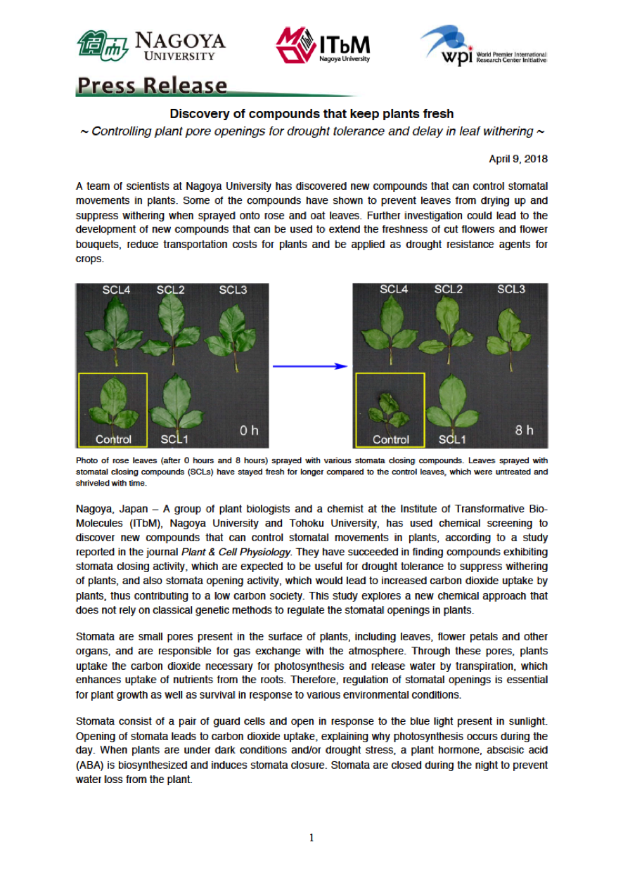 http://www.itbm.nagoya-u.ac.jp/en_backup/research/20180409_PCP_Kinoshita_EN_PressRelease_ITbM.png