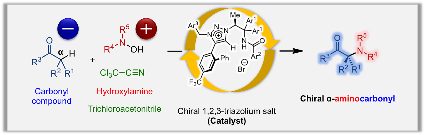 Aminocarbonyl_Figure1.png