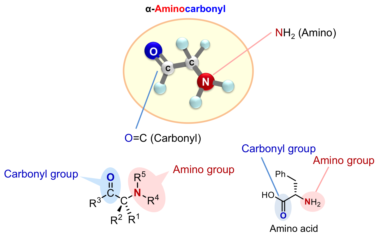 Aminocarbonyl_Figure2.png