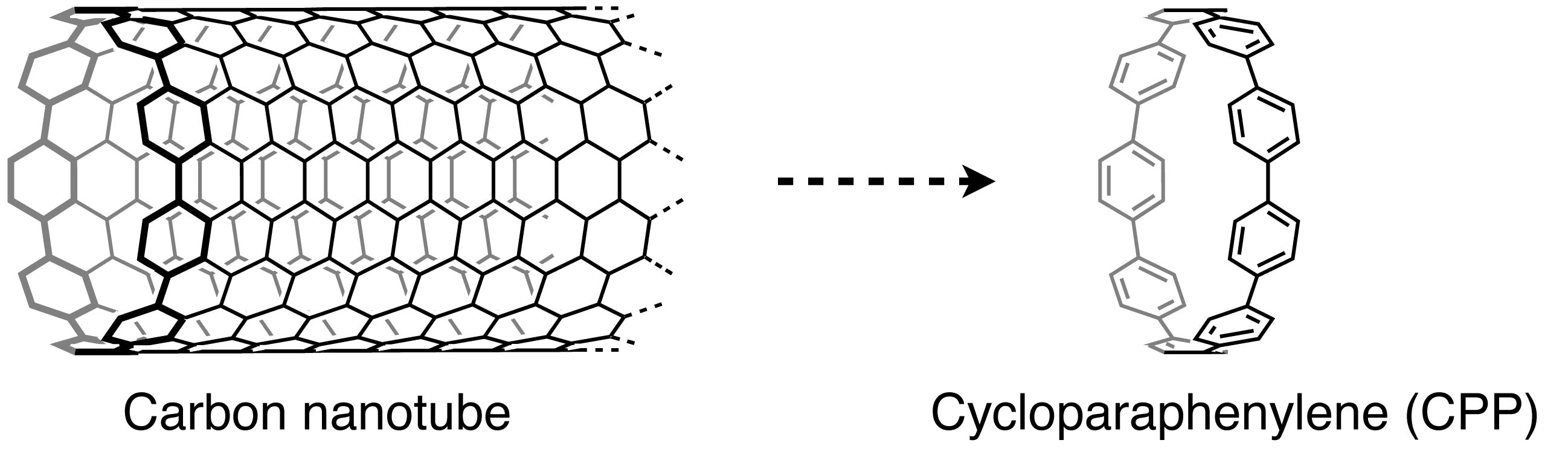 CPPCr_Figure2.jpg