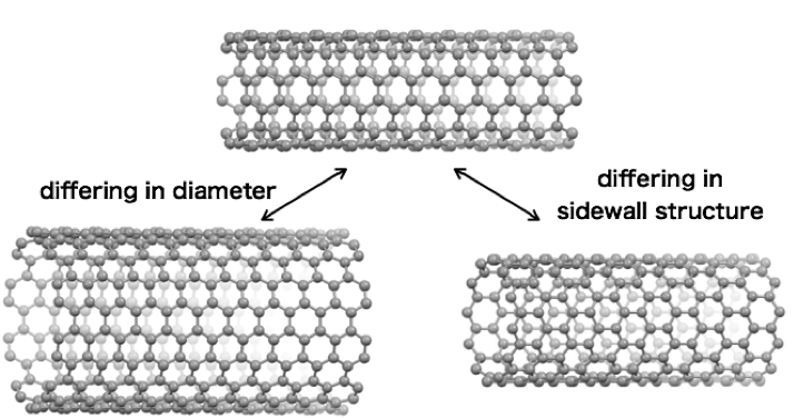 Fig.1_Nanobelt_EN.png