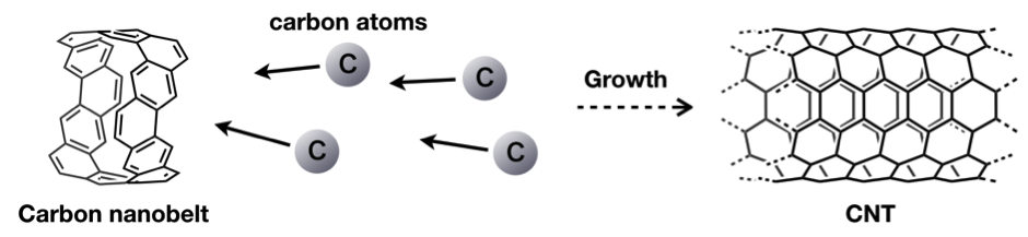 Fig.2_Nanobelt_EN.png