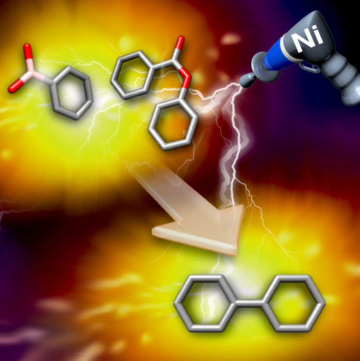 Fig1_SM_coupling_Nicat.jpg