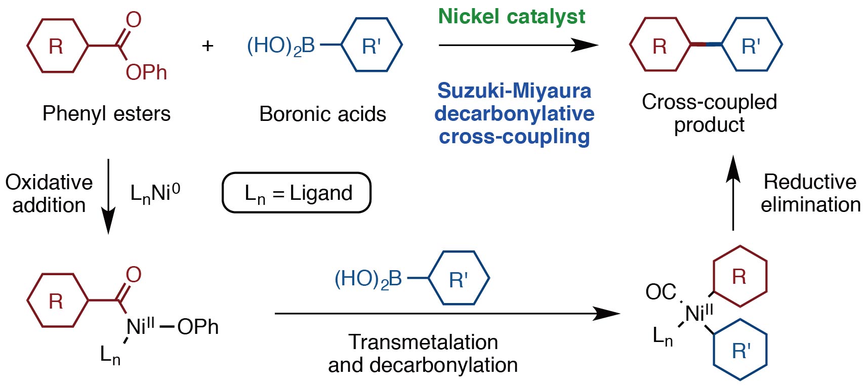 Fig2_SM_coupling.jpg