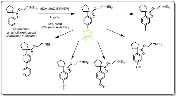 Fig3_Paraboryl.jpg