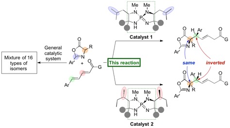 Figure1-1_NatComm_Cat_EN.jpg