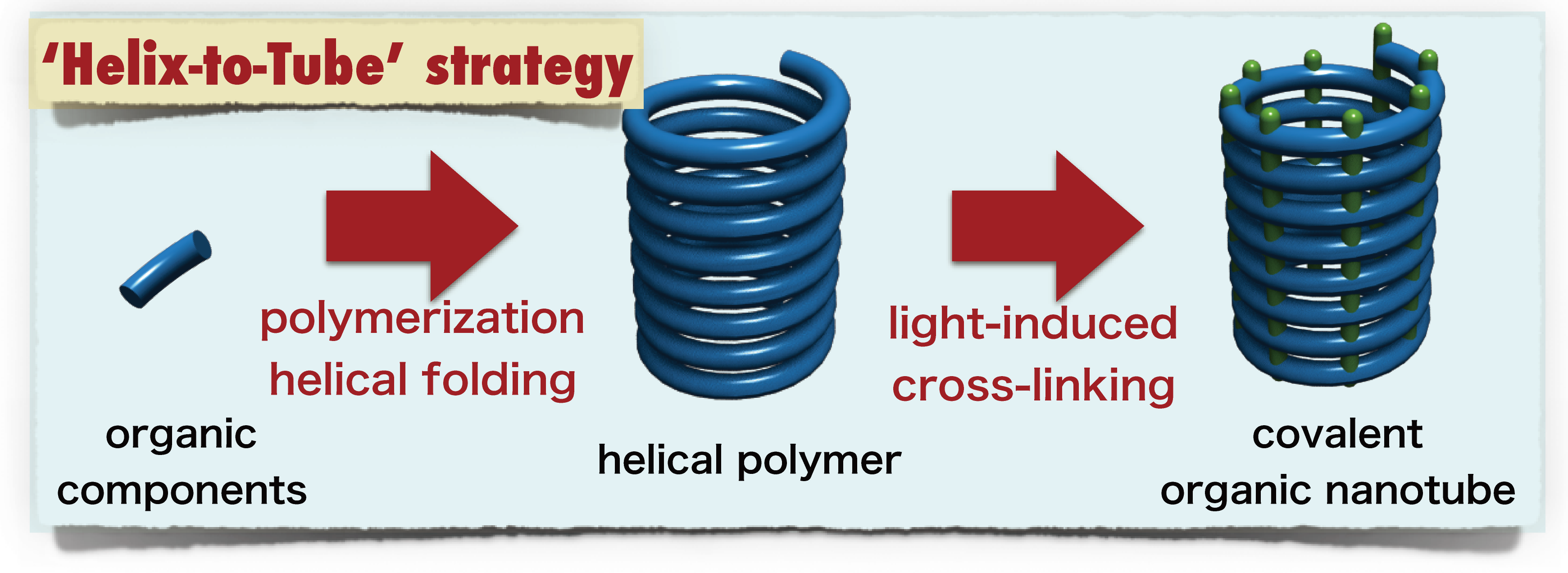 Figure3_ONT.png