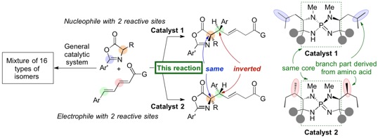 Figure4_NatComm_Cat_EN.jpg