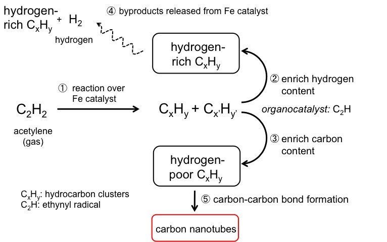 Figure_Mechanism.jpg