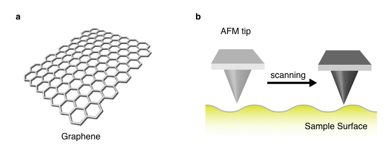 Graphene_Fig2_EN.jpeg