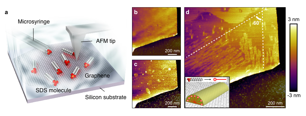 Graphene_Fig3_EN.jpeg