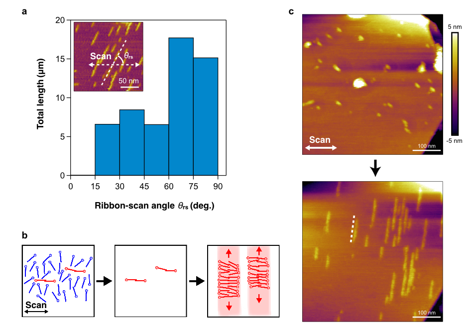 Graphene_Fig4_EN.jpeg