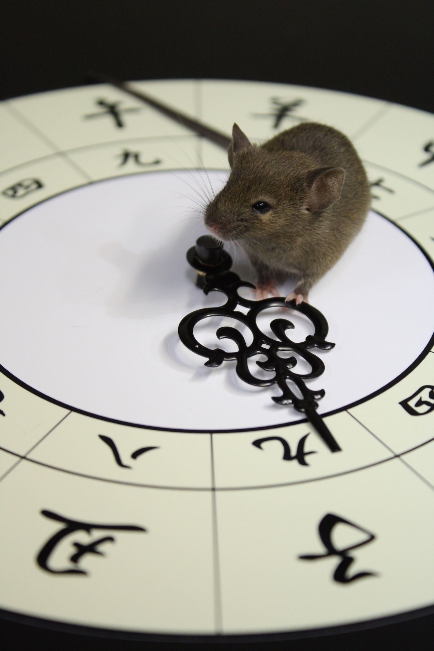 Mouse_Clock.jpeg