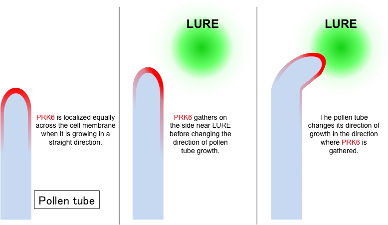 Nature_Figure3.jpg