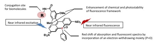 PREX710_ EN_Fig1.jpg