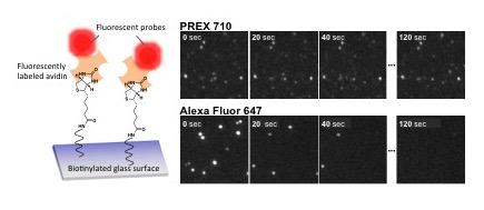 PREX710_ EN_Fig2.jpg