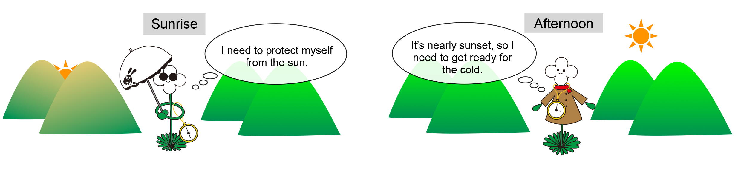 PlantCell_EN_Figure1.jpg