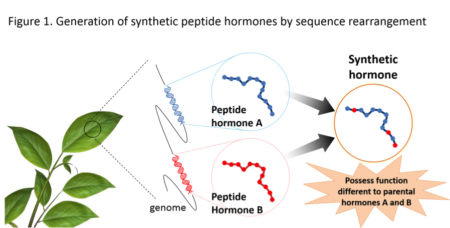 PlantPeptide_Fig1_EN.png