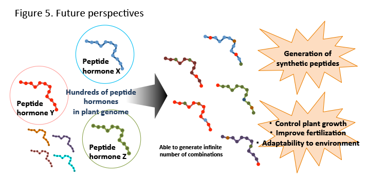 PlantPeptide_Fig5_EN.png