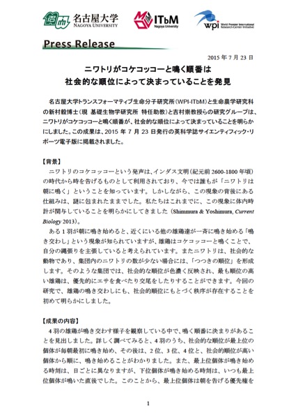 http://www.itbm.nagoya-u.ac.jp/ja/research/20150723_Rooster_JP_PressRelease_ITbM.jpg