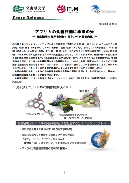 http://www.itbm.nagoya-u.ac.jp/ja/research/20150821_Striga_JP_PressRelease_ITbM.jpg
