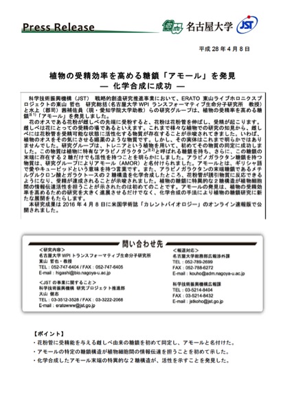 http://www.itbm.nagoya-u.ac.jp/ja/research/20160408_CurrBio_AMOR_JP_PressRelease_ITbM.jpg