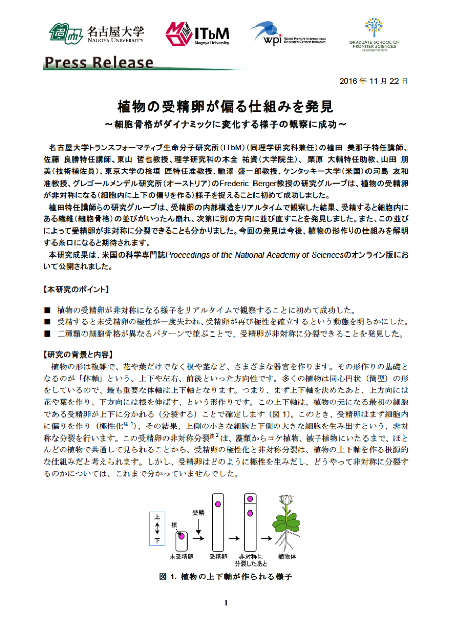 http://www.itbm.nagoya-u.ac.jp/ja/research/20161122_Ueda_PNAS_JP_PressRelease_ITbM.png