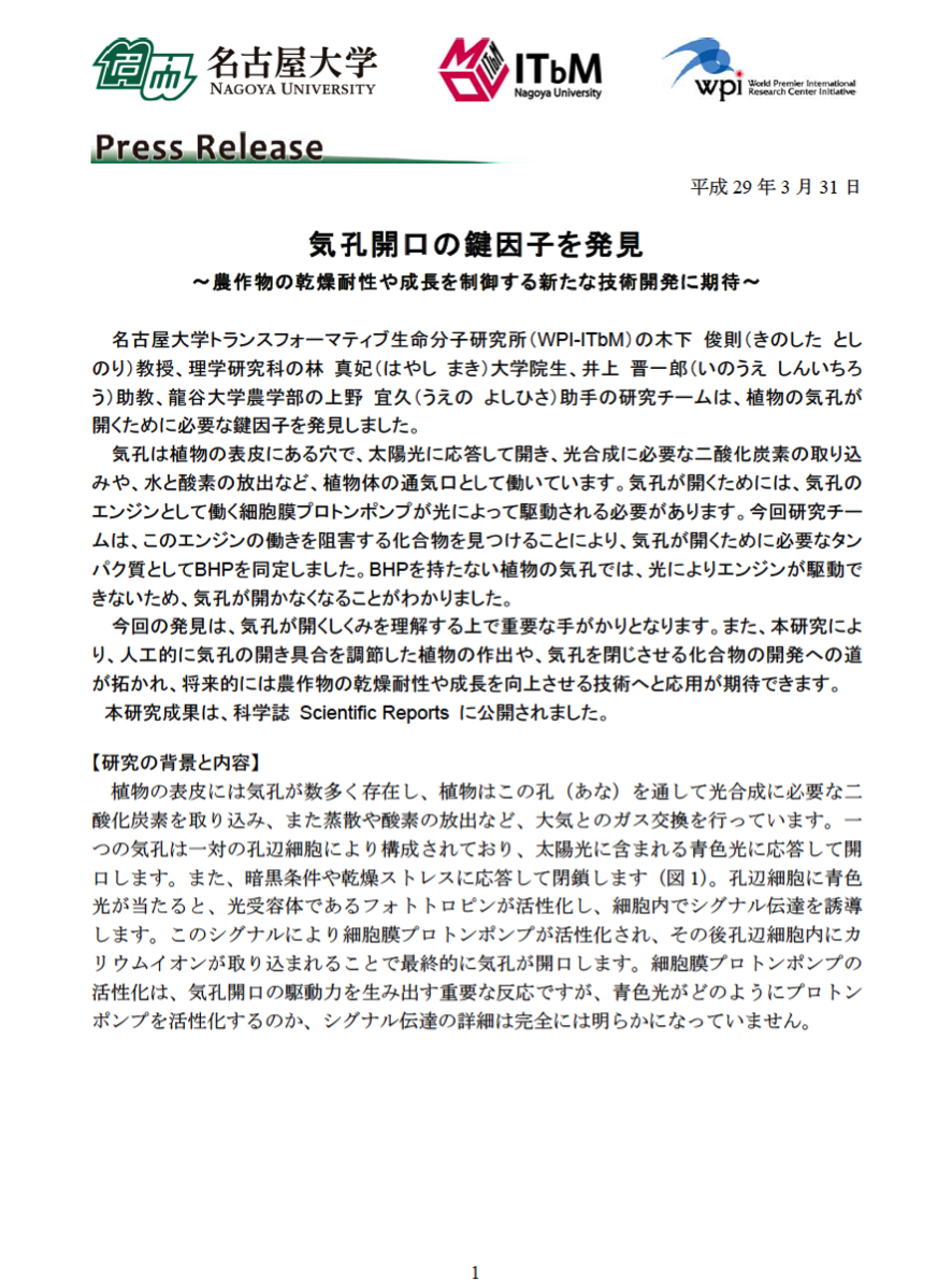 http://www.itbm.nagoya-u.ac.jp/ja/research/20170331_SciRep_JP_PressRelease_ITbM.png