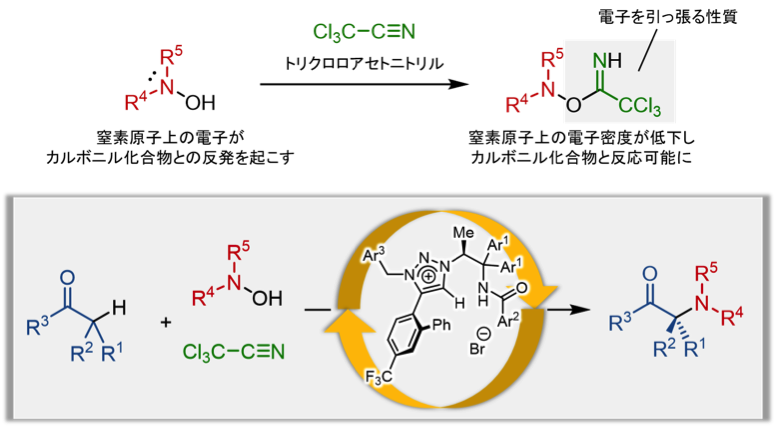 Aminocarbonyl_Figure3_JP.png