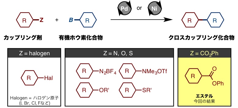 Fig2_SM_coupling_JP.jpg