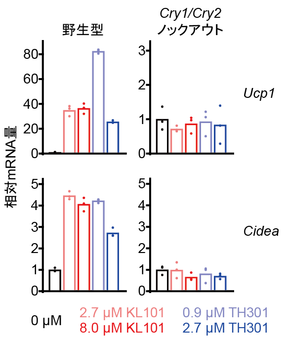 http://www.itbm.nagoya-u.ac.jp/ja/research/image005.png