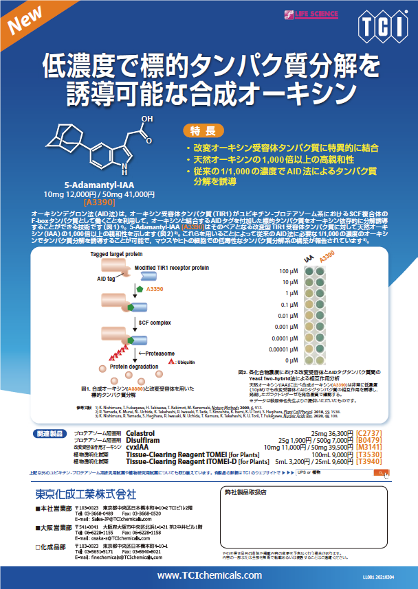 Brochure-LL081-J.png