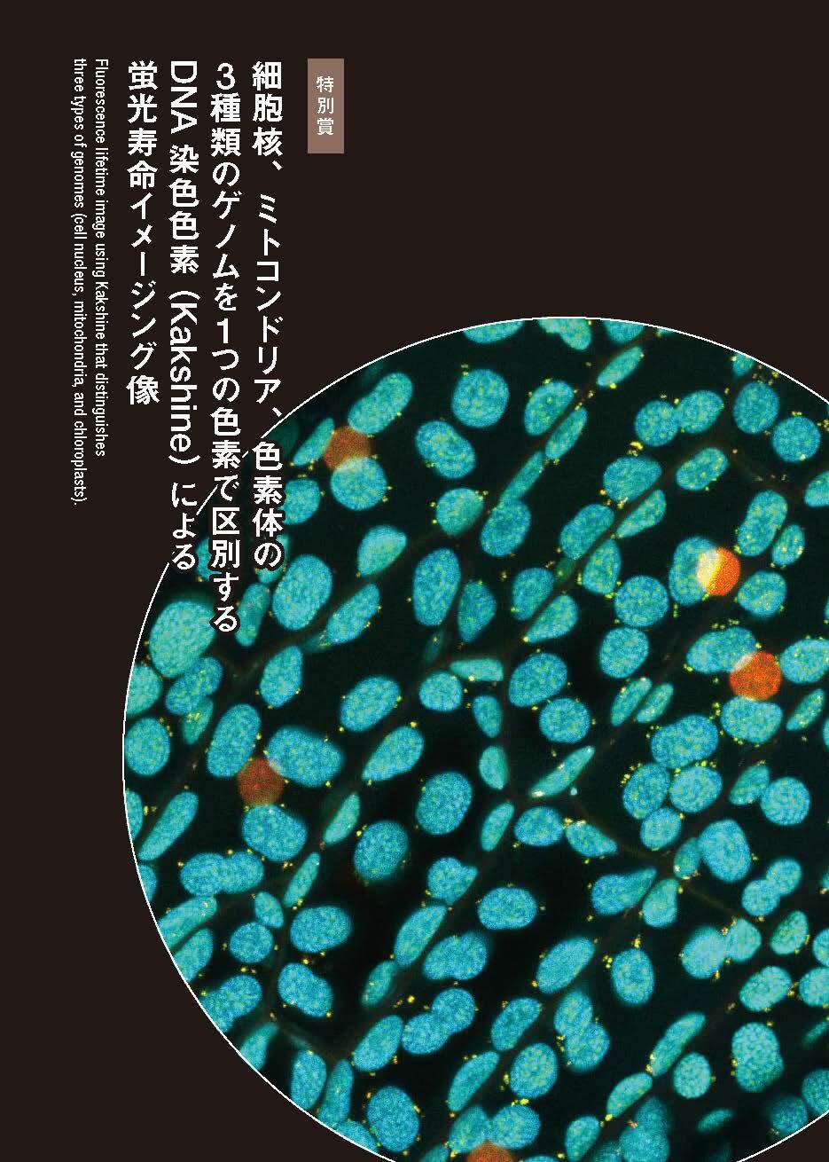 2021_NIKON JOICO AWARD booklet_Japanese_ページ_20.jpg