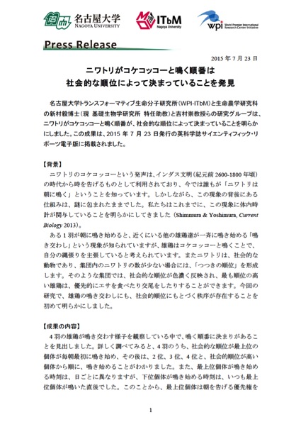 http://www.itbm.nagoya-u.ac.jp/ja_backup/research/20150723_Rooster_JP_PressRelease_ITbM.jpg