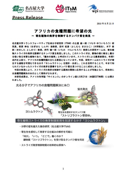 http://www.itbm.nagoya-u.ac.jp/ja_backup/research/20150821_Striga_JP_PressRelease_ITbM.jpg
