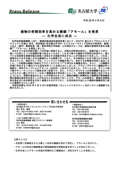 http://www.itbm.nagoya-u.ac.jp/ja_backup/research/20160408_CurrBio_AMOR_JP_PressRelease_ITbM.jpg