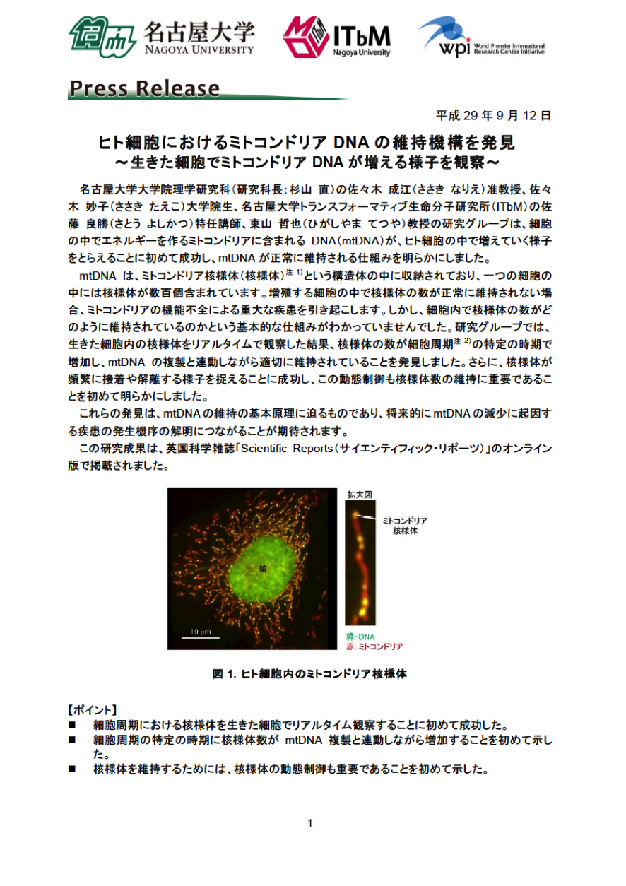 http://www.itbm.nagoya-u.ac.jp/ja_backup/research/20170912_SciRep_Sasaki_JP_PressRelease.png