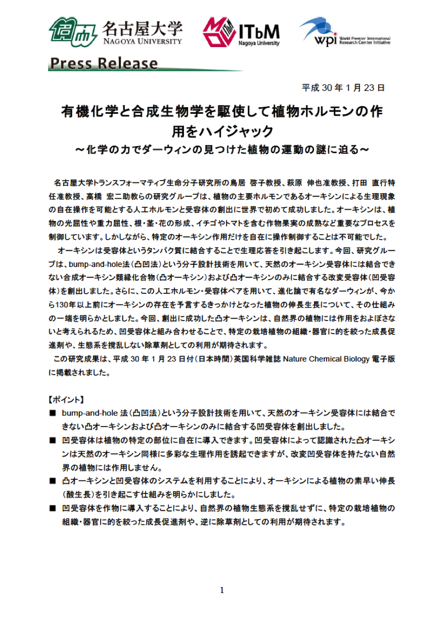 http://www.itbm.nagoya-u.ac.jp/ja_backup/research/20180123_Torii_Auxin_JP_PressRelease_ITbM.png