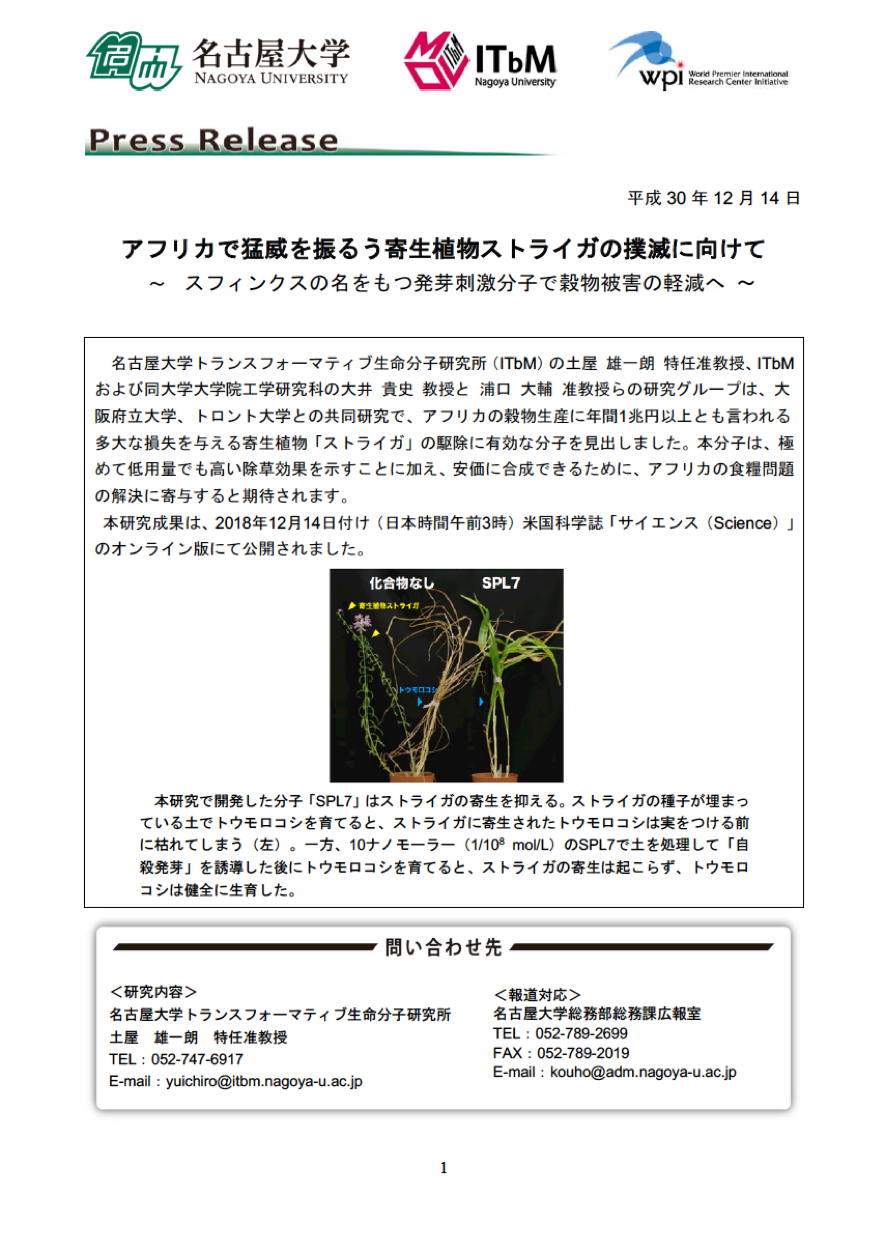 http://www.itbm.nagoya-u.ac.jp/ja_backup/research/20181214_ScienceStriga_JP_PressRelease_ITbM.png