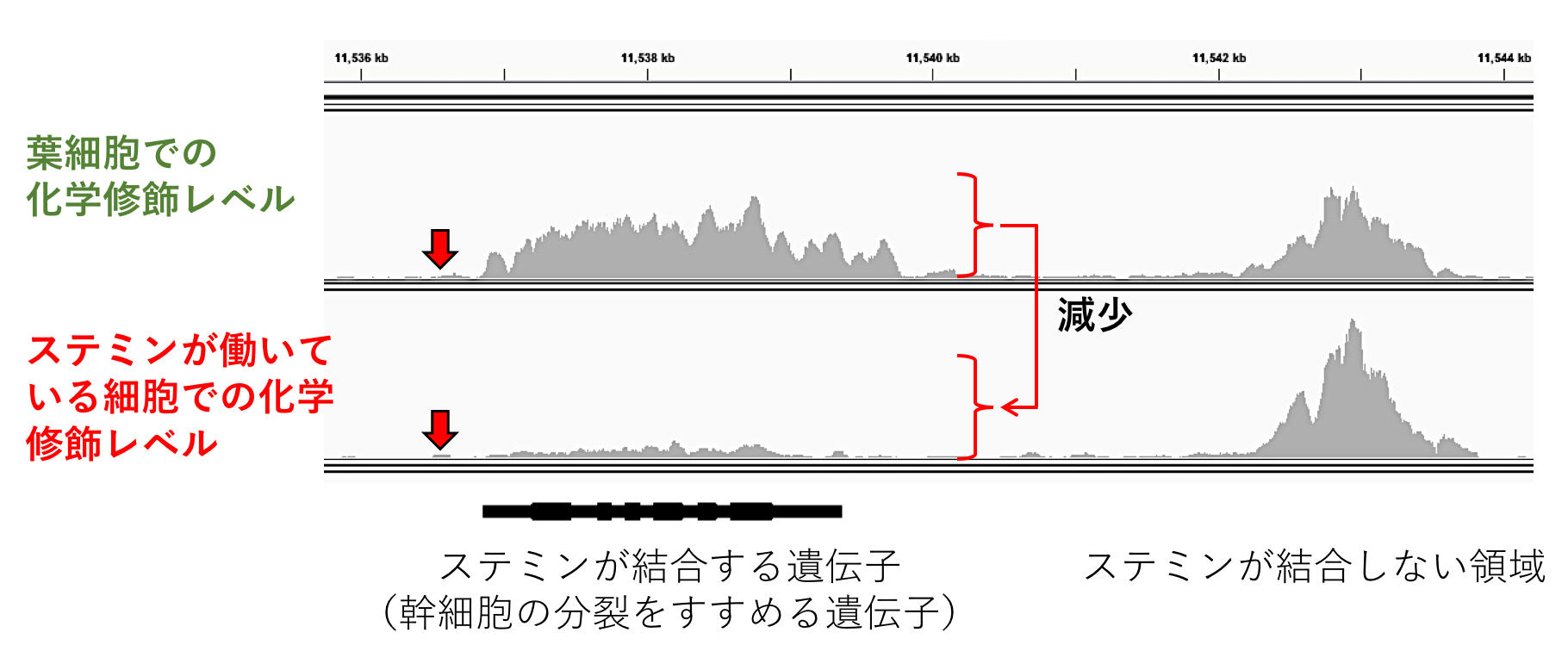 20190705NIBB06.jpg