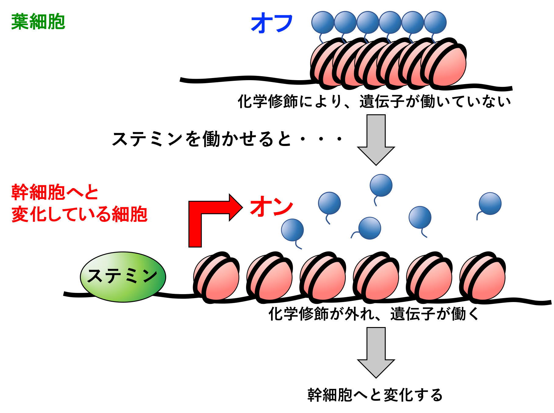 20190705NIBB07.jpg